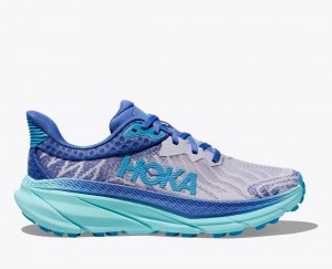 Blue / Grey Women's HOKA Challenger 7 Trail Running Shoes | 1549328-ZP