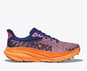 Light Purple / Navy Women's HOKA Challenger 7 Trail Running Shoes | 1609257-DJ