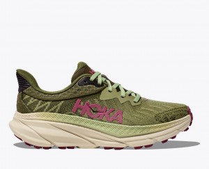 Olive Green Women's HOKA Challenger 7 Trail Running Shoes | 7849615-AP