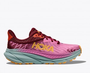 Pink / Dark Red Women's HOKA Challenger 7 Trail Running Shoes | 0736542-SB